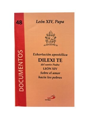 Dilexi te, sobre el amor hacia los pobres